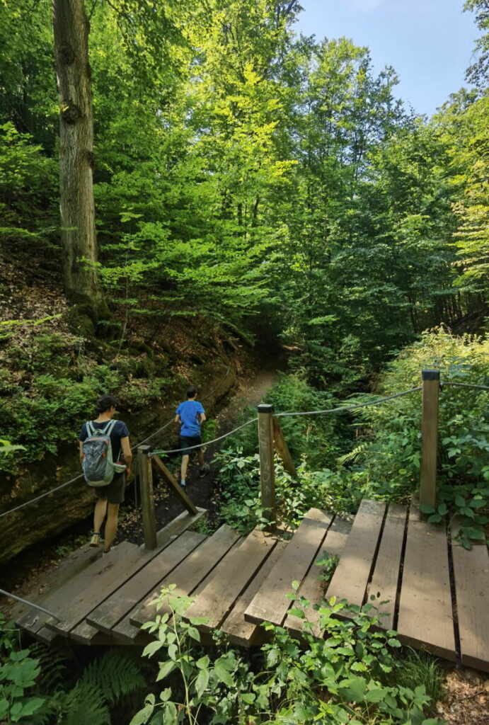 Drachenschlucht wandern durch die Landgrafenschlucht