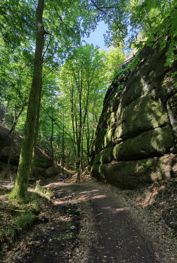 Der Drachenschlucht Rundwweg durch die Landgrafenschlucht