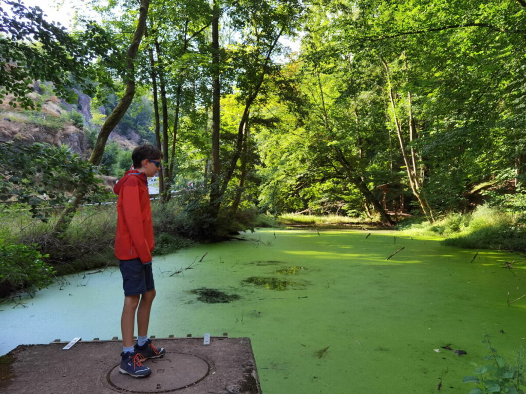 Am Ochsenweiher neben der B19 geht es in die Drachenschlucht hinein