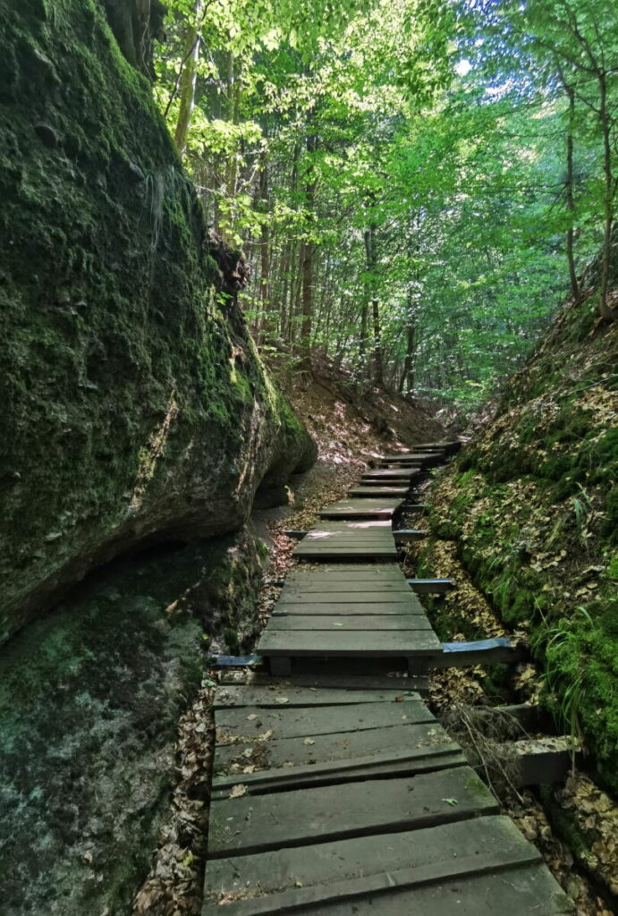 Die Landgrafenschlucht Eisenach - der Wanderweg wurde vor der Jahrtausendwende begehbar gemacht