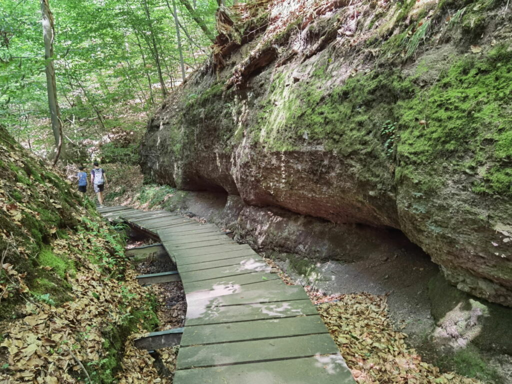 Wildromantische Landgrafenschlucht in Eisenach, Thüringen