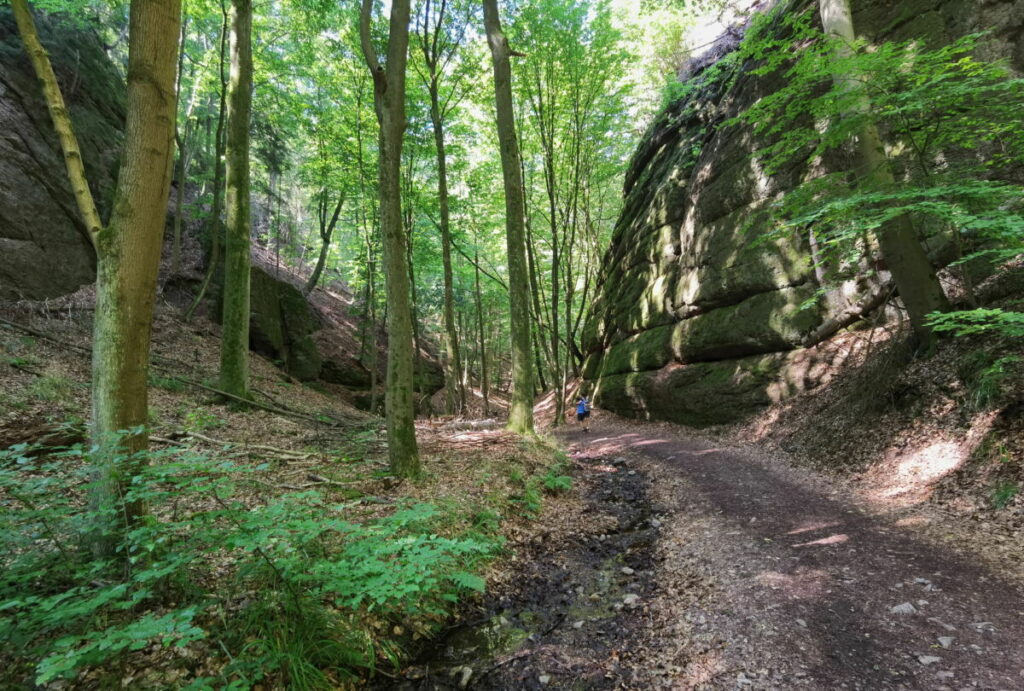 Landgrafenschlucht Wanderung mit Kindern möglich