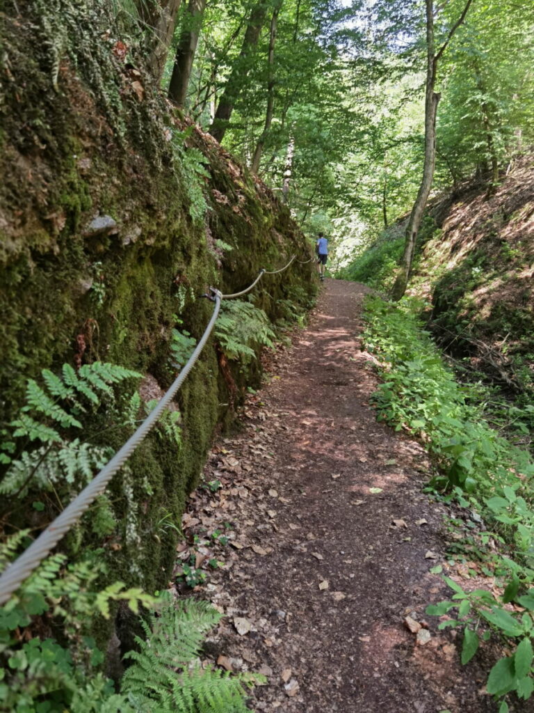 Landgrafenschlucht Wanderung