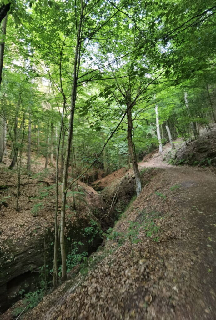 Rechts verläuft der Wanderweg durch die Ludwigsklamm