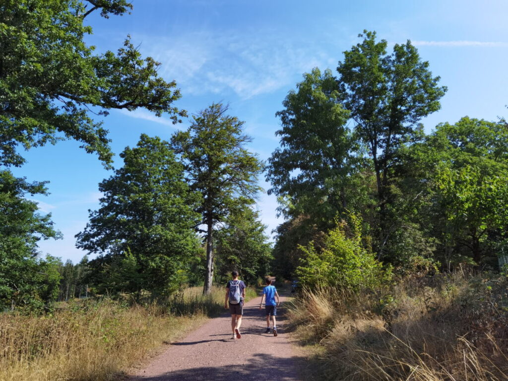 Hohe Sonne Eisenach - Ausgangspunkt von Wanderungen im Thüringer Wald