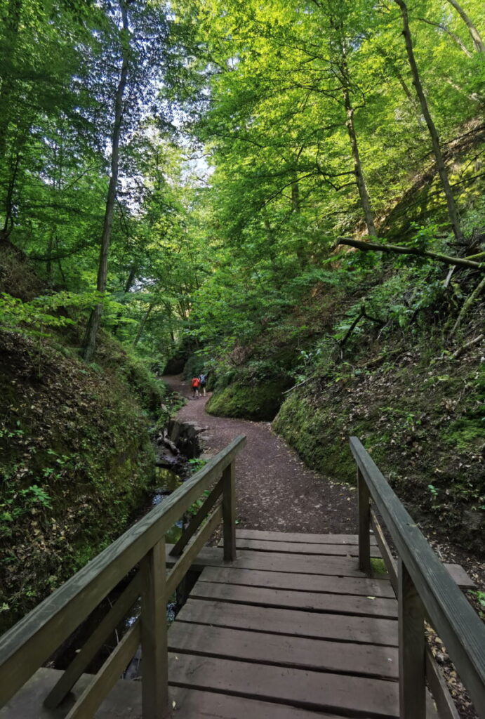 Vom Mariental geht es hinein in die Drachenschlucht